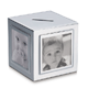 Money Box PhotoFrame