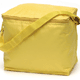 6 Pack Cooler
